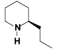 (-)-Coniine.png