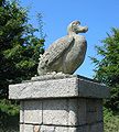 Dodo, Jersey Zoo.jpg