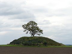 Sätunahögen Östergötland 1.jpg