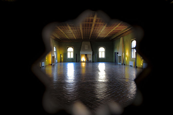 Sala dei camini particolare Castello di Bentivoglio.jpg