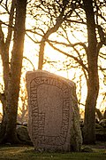 Skalunda Runestone.jpg