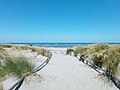 Porto Caleri - Rosolina Mare.jpg