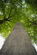 The Levene Runestone.jpg