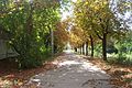 26.09.2009 - panoramio (1).jpg