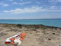 " 12 - ITALY - holiday vacation Salento ( south Apulia ) 3 Punta Suina (Lecce).JPG