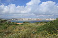 Malta - St. Paul's Bay (Ghallis Tower) 01 ies.jpg