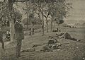 Shooting Grouville Jersey August 1912.jpg